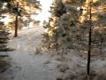Ice Bike Missoula