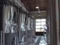 Tamarack Brewing Co. tour