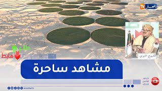 طالع هابط: من سماء الوادي… لقطات مبهرة تكشف أسرار إنتاج البطاطا