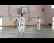 2006 Shodokan Aikido Freestyle Kata Demonstration