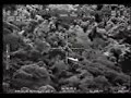 tucano t 27 shooting down drug dealers aircraft