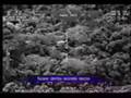 Tucano T-27 shooting down drug dealers aircraft