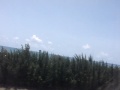 Takeoff from SJU on AA A300