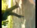 Chatek Jumpster