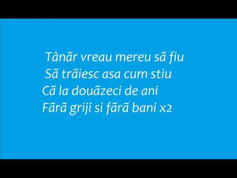Voltaj-20 de ani (Lycris)