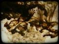 Videominuto - IUNA - Ink + Water
