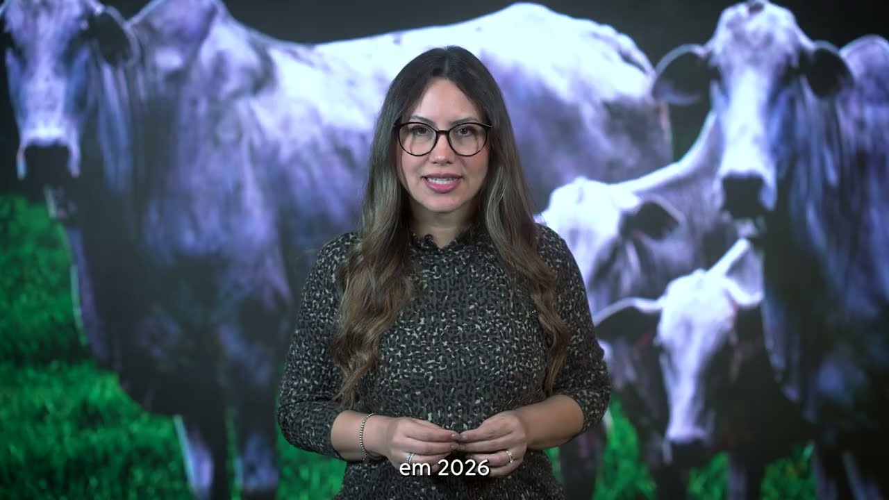 Geopolítica, relatório do USDA e safra sul-americana no radar | BBcast Agro - 09/03/2026