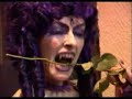 WGW - Roses bring Sunshine
