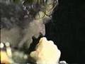 Get Back Again - The Tragically Hip