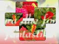 garden-line.html