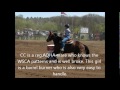 CloverDale Farm Horses for sale 2012