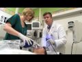 Greenwich Hospital Emergency Department