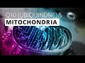 videos de Q10 and Mitochondria