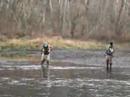 Another Taneycomo trout