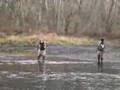 Another Taneycomo trout