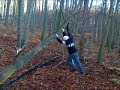 f�lde tr�er filmen