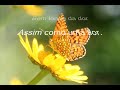 Jaci Velasquez - Llegar A Ti - Como Una Flor
