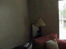 1595 Treebark Drive