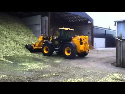 how to harvest willow