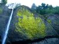 Latourelle Falls: Columbia River Gorge 09-13-08