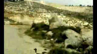 رحله في دير العسل 2010.mp4