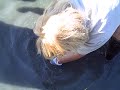 the art of clamming
