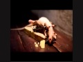 Mouse and a mousetrap (cheese commercial)
