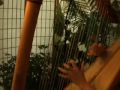 Wizards Lament - -Flownote Wizards Lament - -Flownote