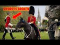 Download Brave Trooper Kicked Off Horse At Major London Inspection Featuring 172 Horses Mp3 Song