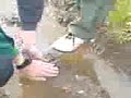 Pfingsten 2006 2