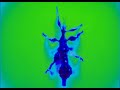 stick-insect-dancing.html