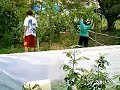 Projeto EcoBaia GEAE - A casa mais ex�tica de Curitiba