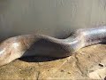 Video Vorschau