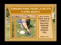 ENTRENAMIENTO CANINO
