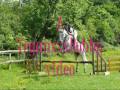 VickiPonyGirl xx - Sub to her she's a fab friend and rider :)