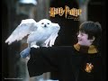 Harry Potter – Hedwig's Theme