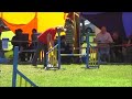 Click here to watch this video Ares aility Łodz 2011 05 07
