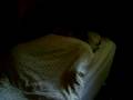 videos de chata makyna