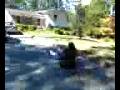 1029081347a.3g2