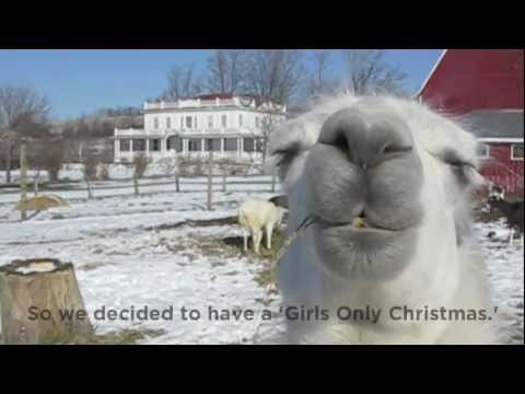DECEMBER 19