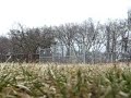 james keane pilots raptor 30 through lindhurst field w/onboard video.