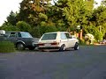 Bagged rabbit scraping 2