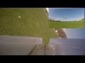 RC Delta Wing Control Surfaces Working