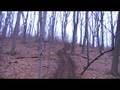videos de First ride of the yaer 2008