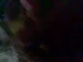las chuches de losa socu las chuches de losa socu