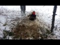World's worst Sled - YouTube