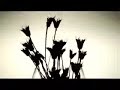 Apologise-Timbaland ft One Republic [OFFICIAL VIDEO]