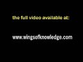 abdominal massage video 3