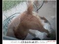Doggone wild with Water!!! Doggone wild with Water!!!