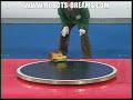Robot Sumo Is Real Sumo!